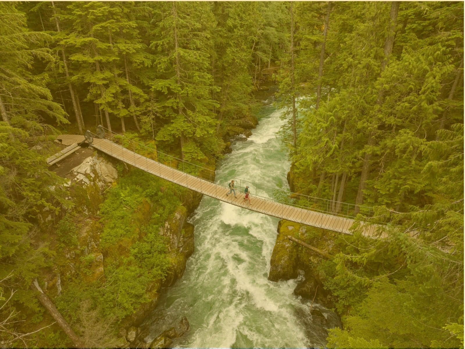 Yellow hanging bridge (1)