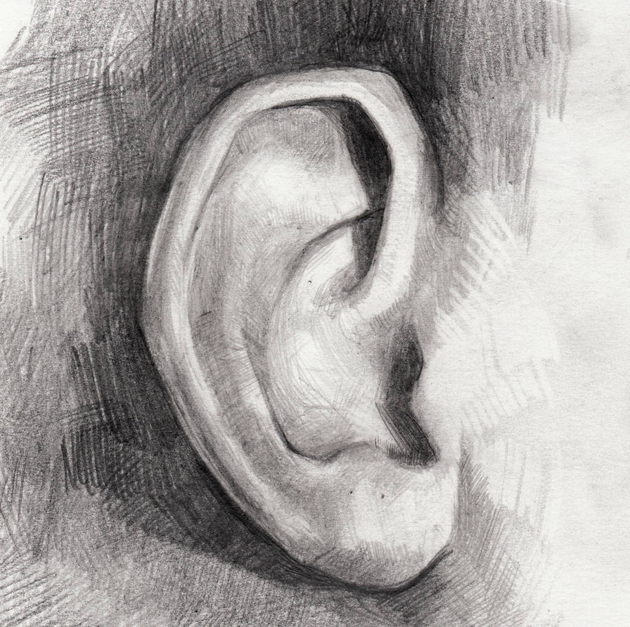 ear